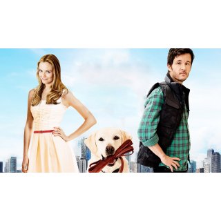Who Gets the Dog (2016)