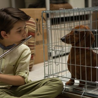 Keaton Nigel Cooke stars as Remi in IFC Films' Wiener-Dog (2016)