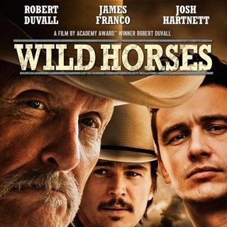 Wild Horses Picture 1