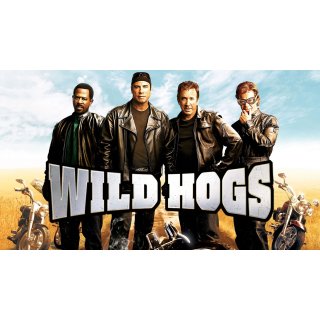 Wild Hogs Picture 2