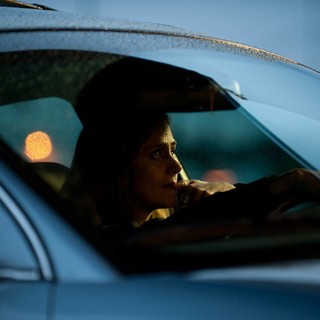 Diane Farr stars as Julie in Greenmachine Film's Wildlike (2015)