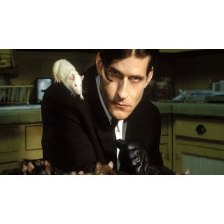 Willard Picture 3