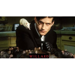 Willard Picture 10