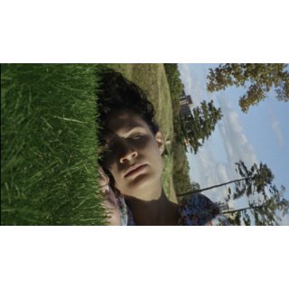 Willow World Picture 3