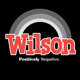 Poster of Fox Searchlight Pictures' Wilson (2017)