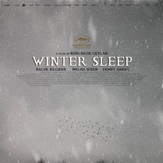 Winter Sleep Picture 1