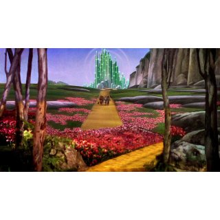 Wizard Of Oz, The Picture 3