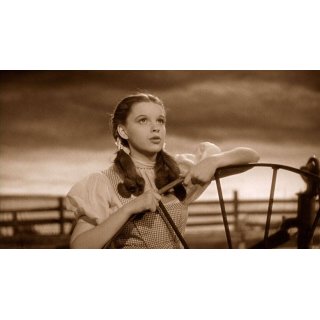 Wizard Of Oz, The Picture 7