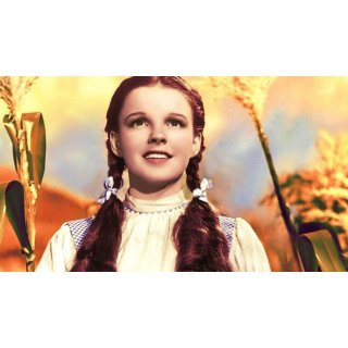 Wizard Of Oz, The Picture 9