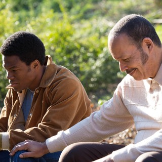 Woodlawn Picture 17