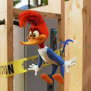 Woody Woodpecker Picture 3