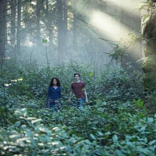 Wrinkle In Time, A Picture 32