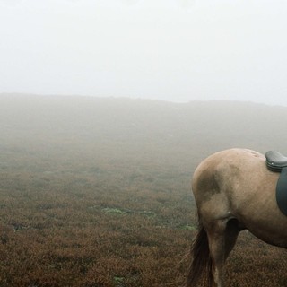 A scene from Oscilloscope Laboratories' Wuthering Heights (2012)