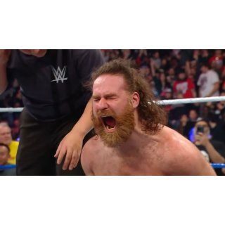 WWE Saturday Night's Main Event XLIII Picture 7