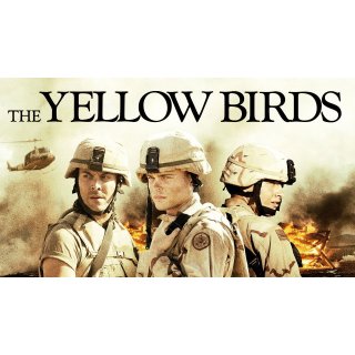 Yellow Birds, The Picture 7