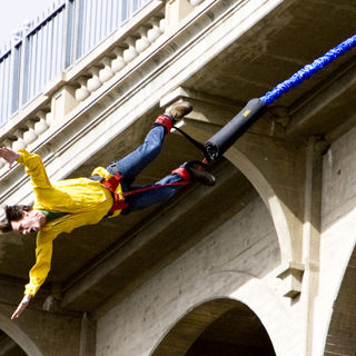 Yes Man Picture 3