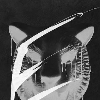 You're Next Picture 24