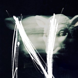 You're Next Picture 25