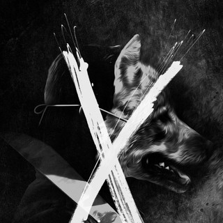 You're Next Picture 27