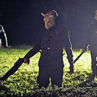 You're Next Picture 10