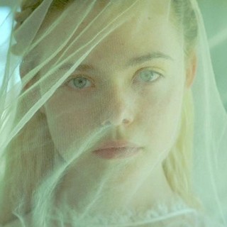 Young Ones Picture 11
