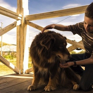 Young And Prodigious T.S. Spivet, The Picture 4