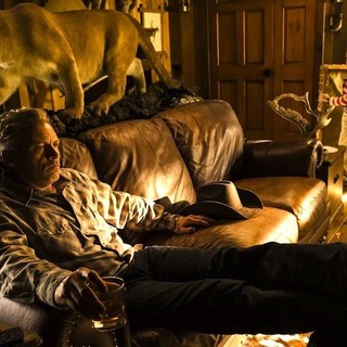 Young And Prodigious T.S. Spivet, The Picture 7
