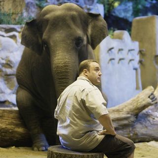Zookeeper Picture 16