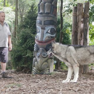Zookeeper Picture 17