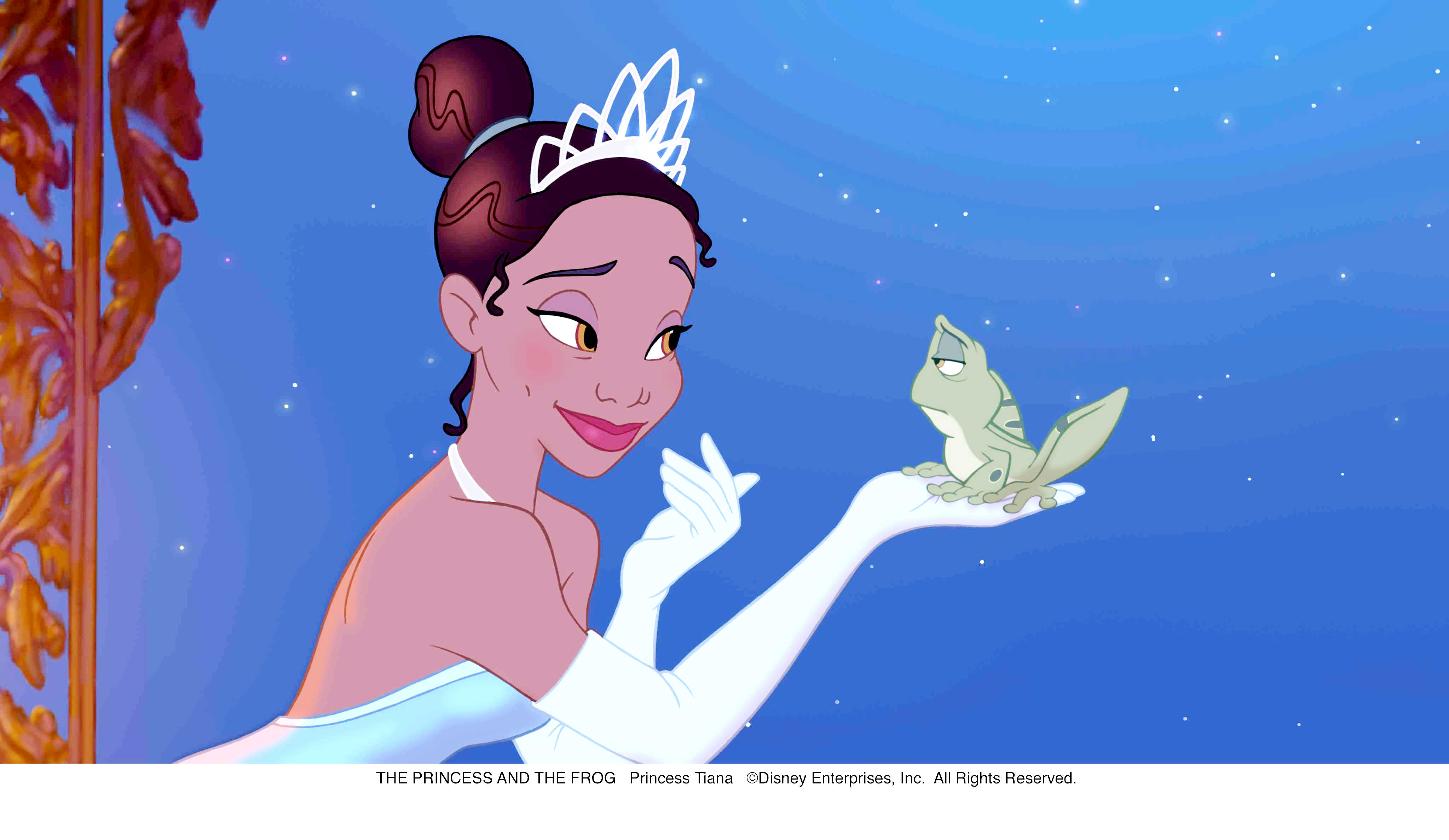 The Princess And The Frog Picture 5