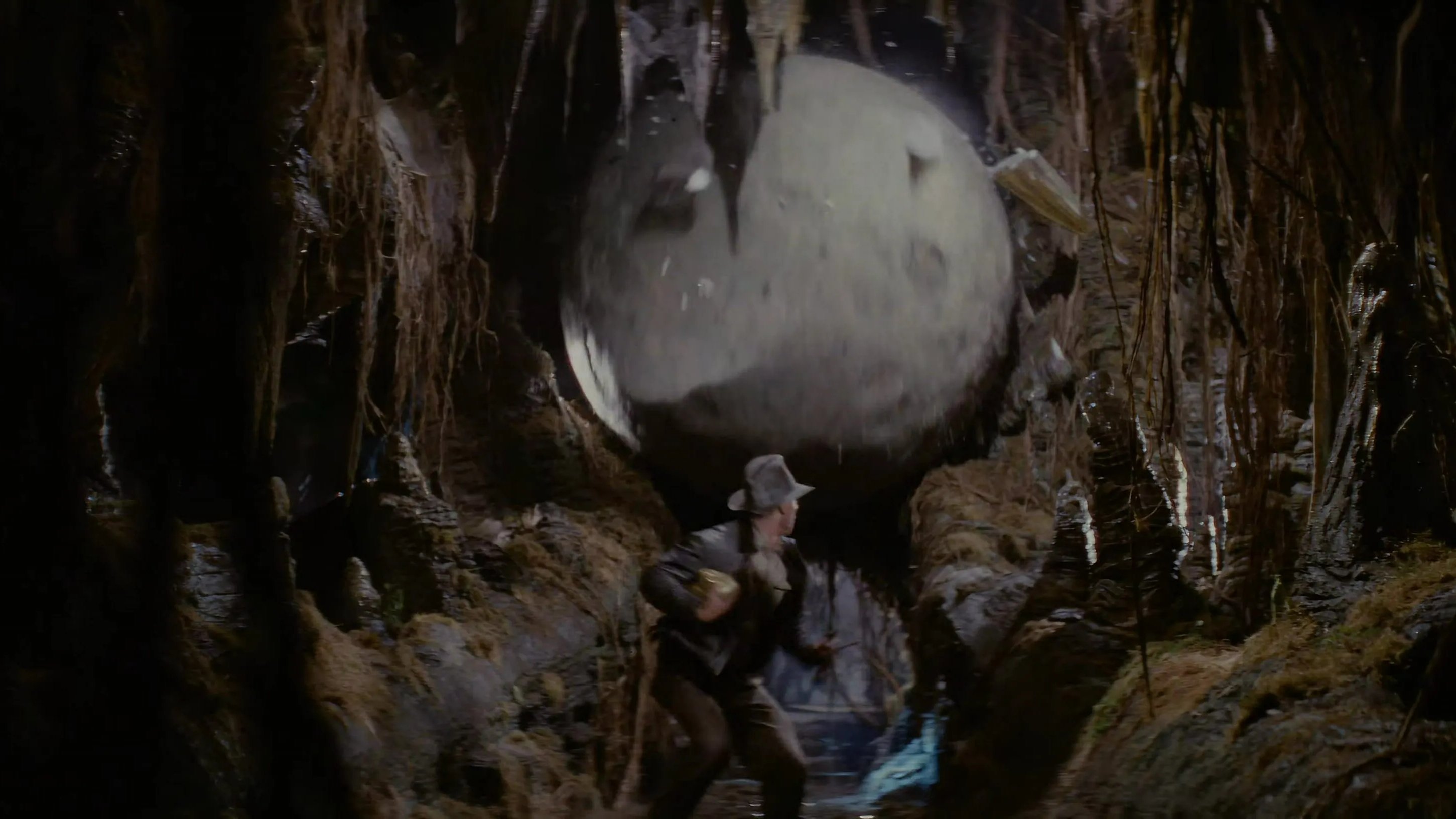 Raiders of the Lost Ark (1981)
