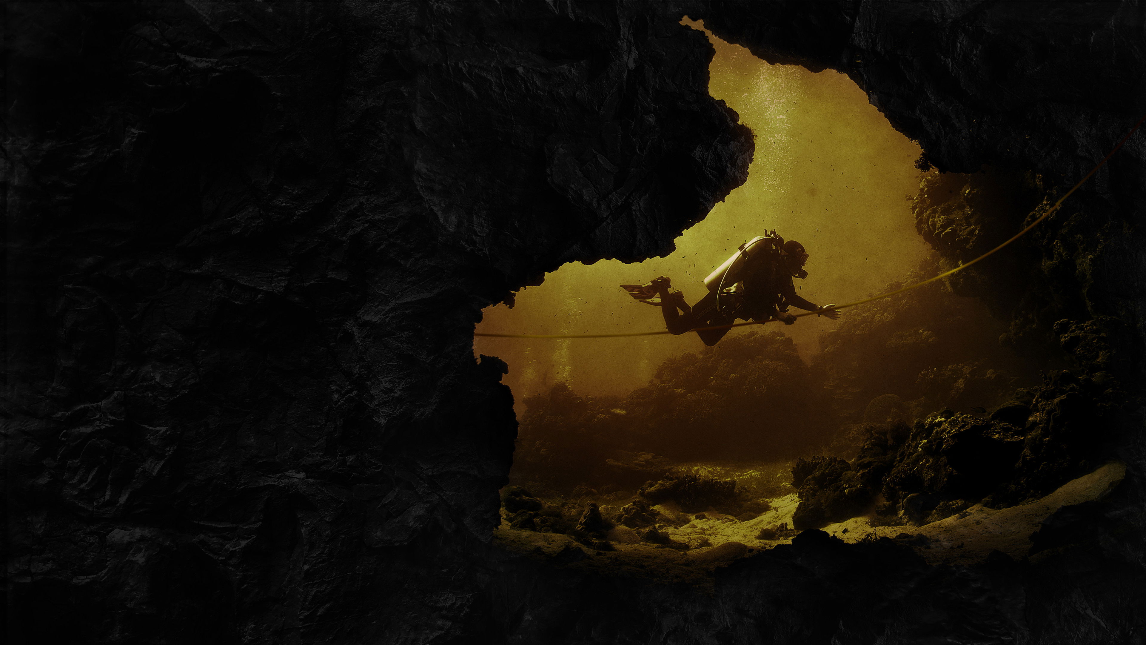 Rescue, The (2021)