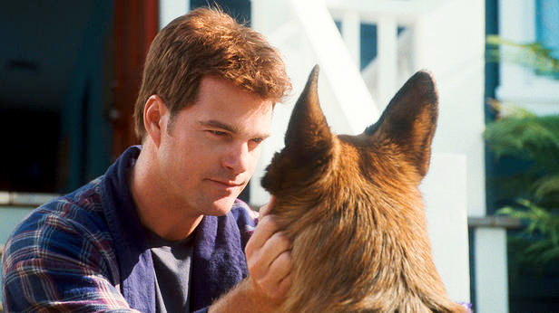 Chris O'Donnell stars as Shane in Warner Bros. Pictures' Cats & Dogs: The Revenge of Kitty Galore (2010)