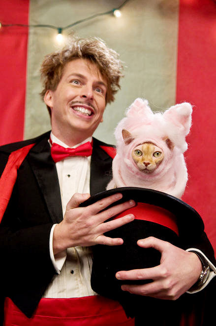 Jack McBrayer stars as Chuck in Warner Bros. Pictures' Cats & Dogs: The Revenge of Kitty Galore (2010)