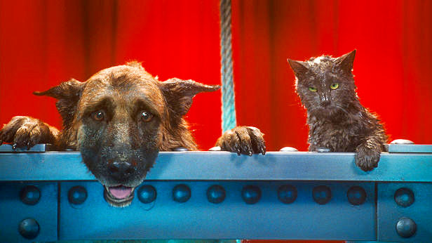 A scene from Warner Bros. Pictures' Cats & Dogs: The Revenge of Kitty Galore (2010)