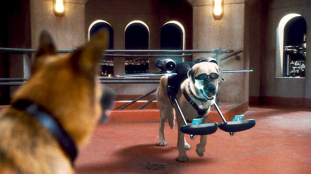 A scene from Warner Bros. Pictures' Cats & Dogs: The Revenge of Kitty Galore (2010)