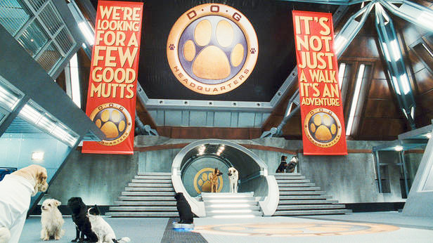 A scene from Warner Bros. Pictures' Cats & Dogs: The Revenge of Kitty Galore (2010)