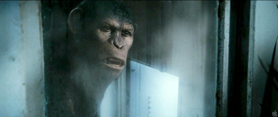 A scene from 20th Century Fox's Rise of the Planet of the Apes (2011)