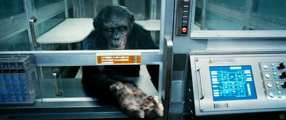 A scene from 20th Century Fox's Rise of the Planet of the Apes (2011)