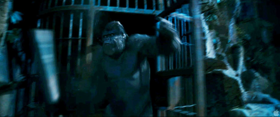 A scene from 20th Century Fox's Rise of the Planet of the Apes (2011)