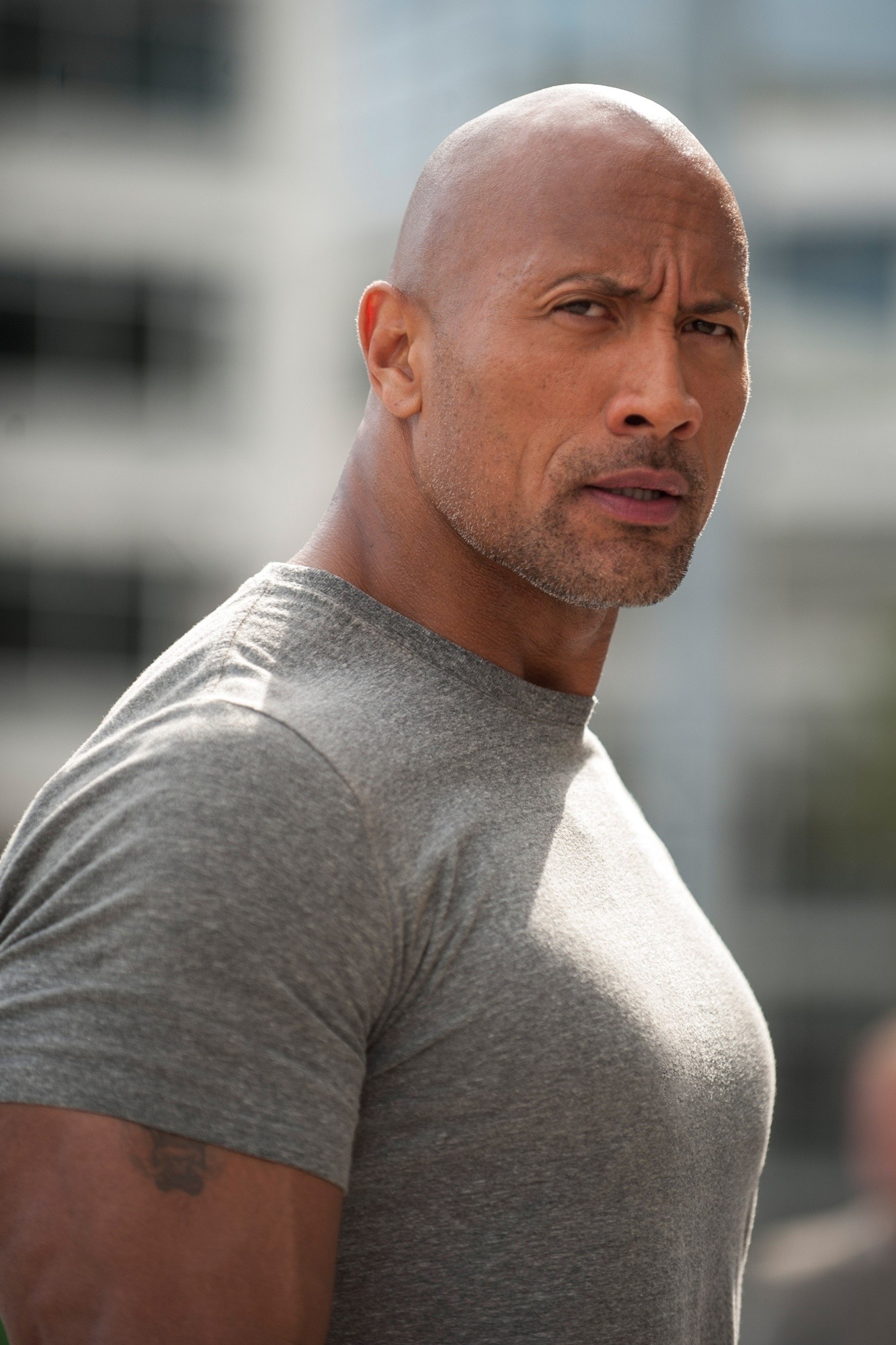 San Andreas (2015) Pictures, Photo, Image and Movie Stills