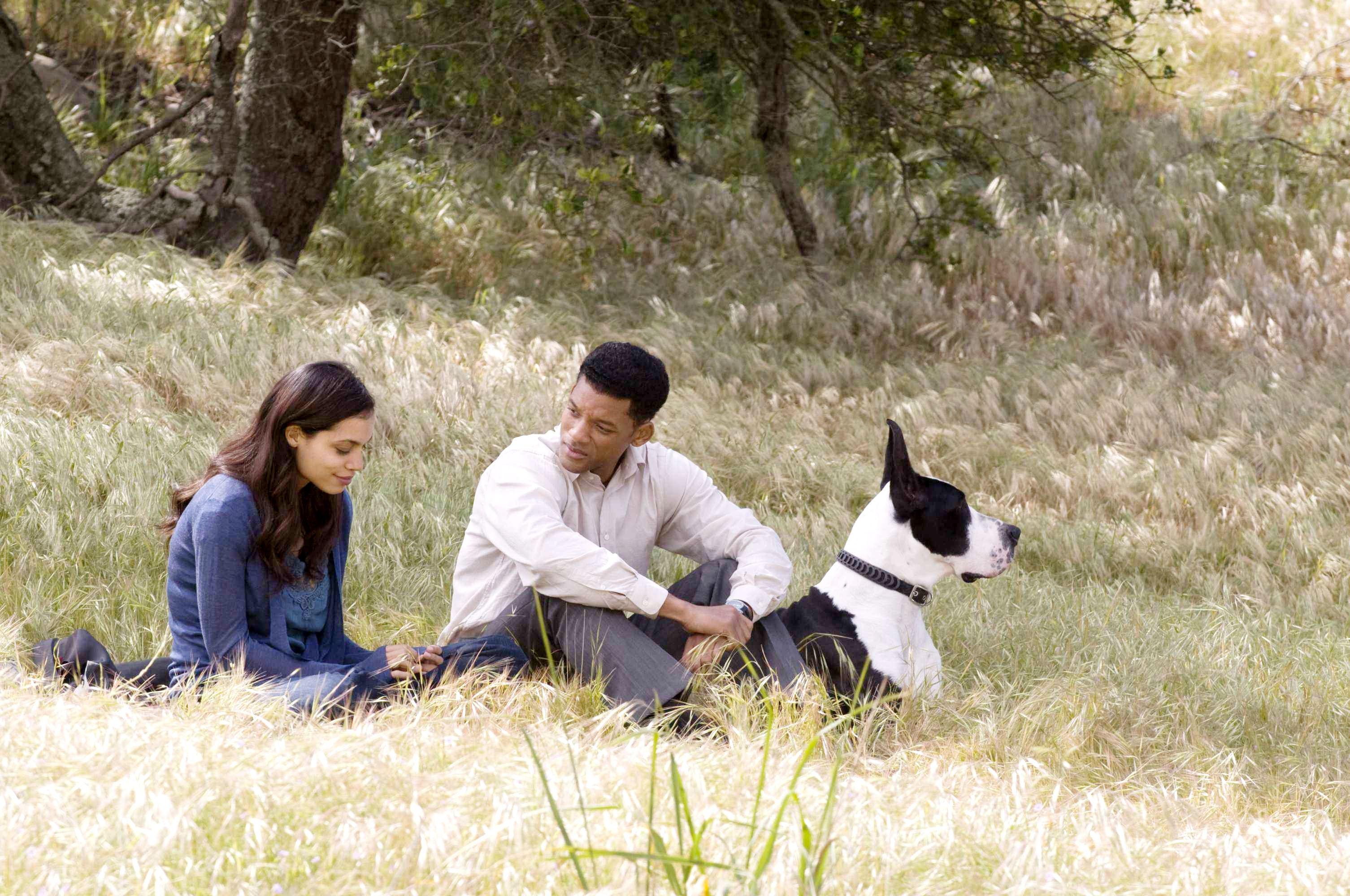 Rosario Dawson stars as Emily Posa and Will Smith stars as Ben Thomas in Columbia Pictures' Seven Pounds (2008)