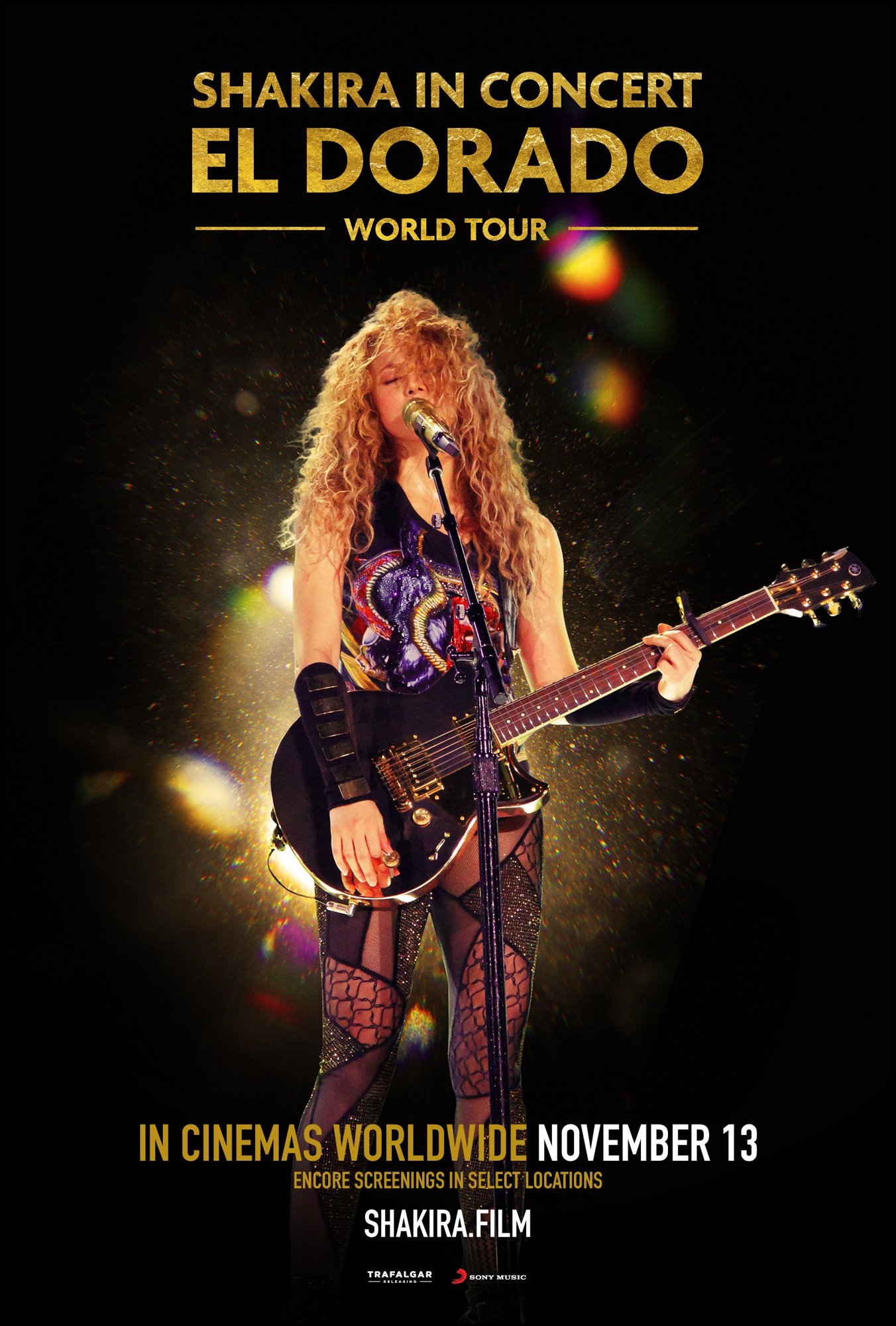 Shakira In Concert El Dorado World Tour Picture 1