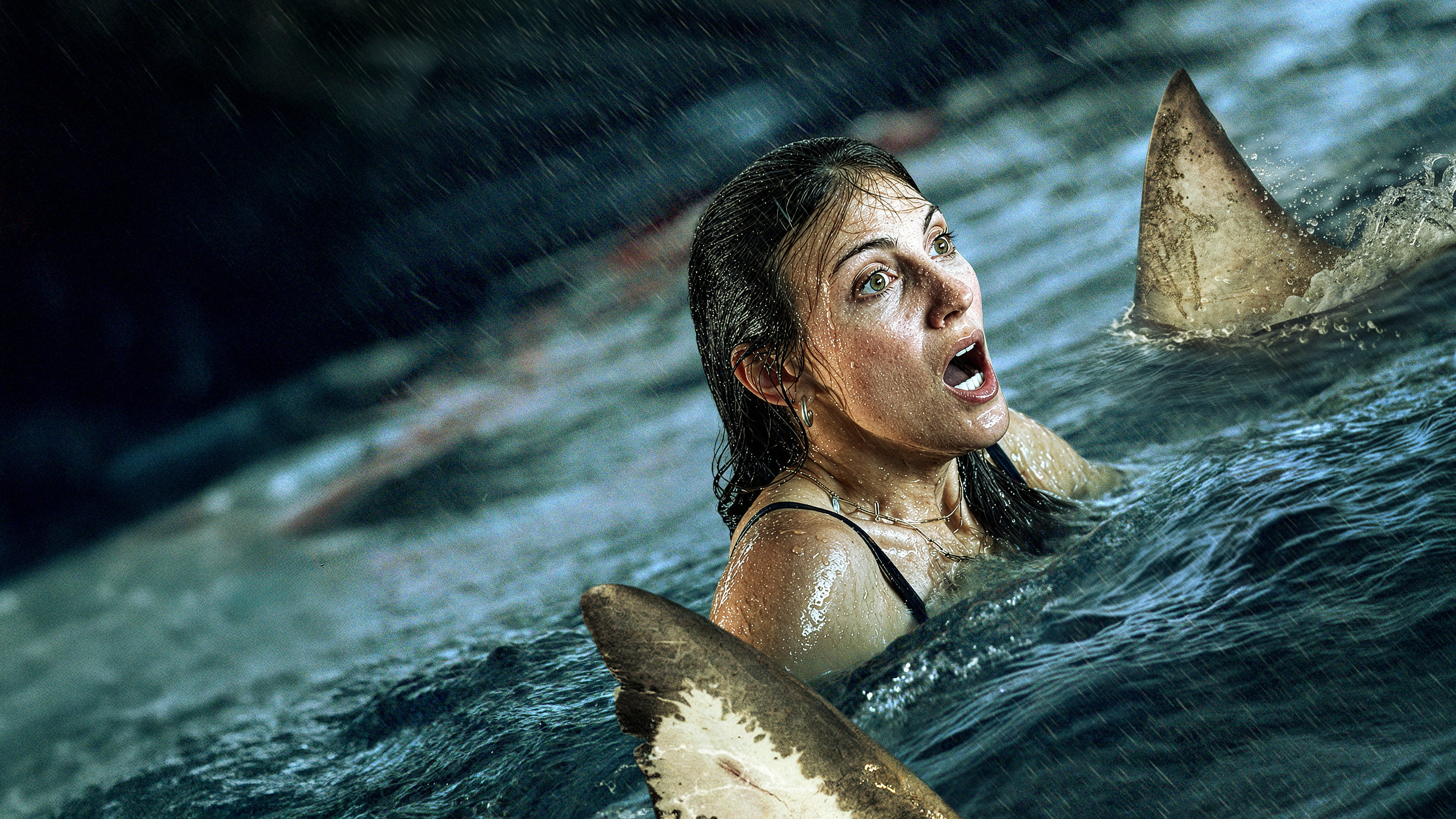 Shark Thrash (2026)