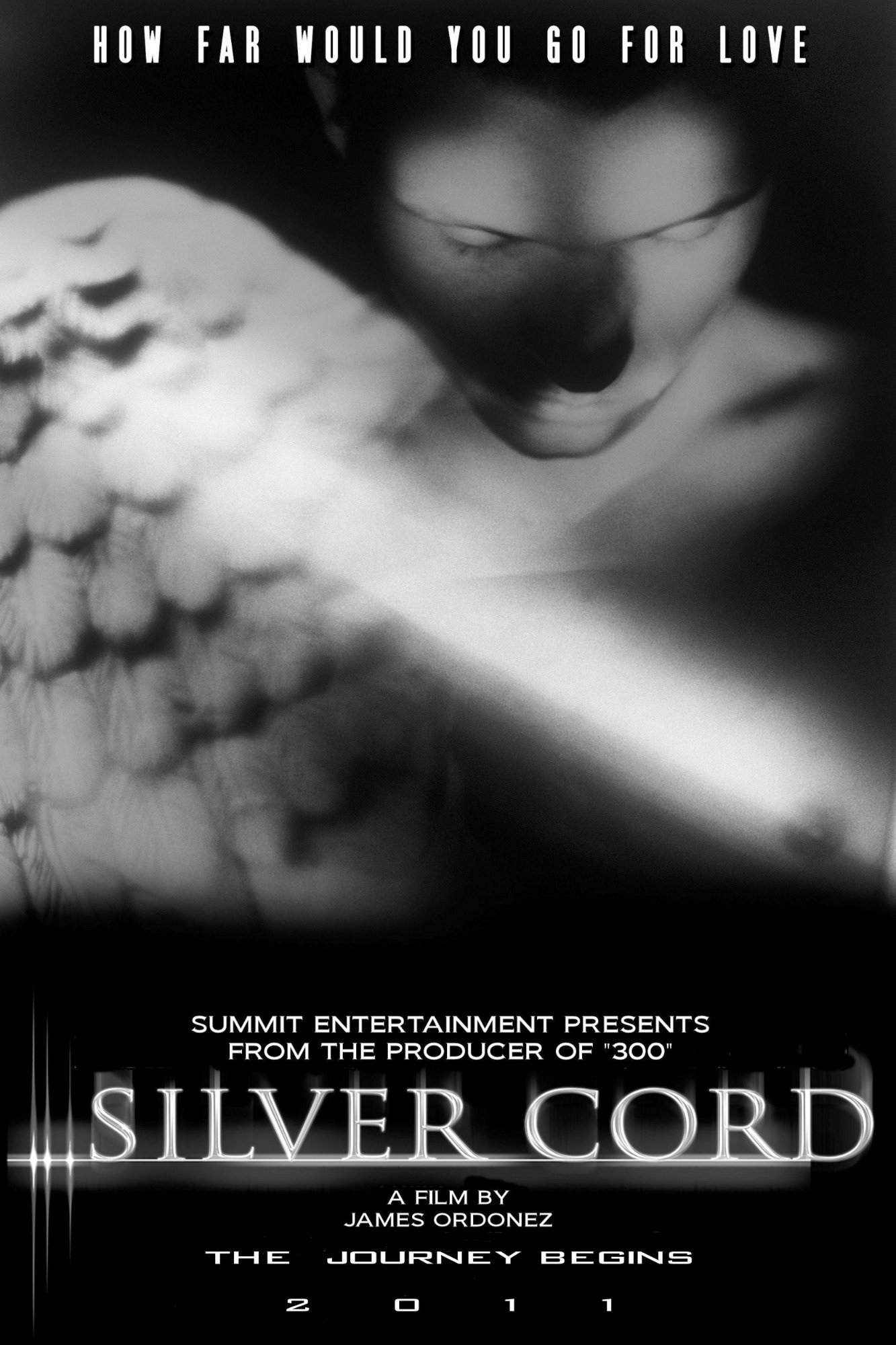 Poster of Summit Entertainment's Silver Cord (2011)
