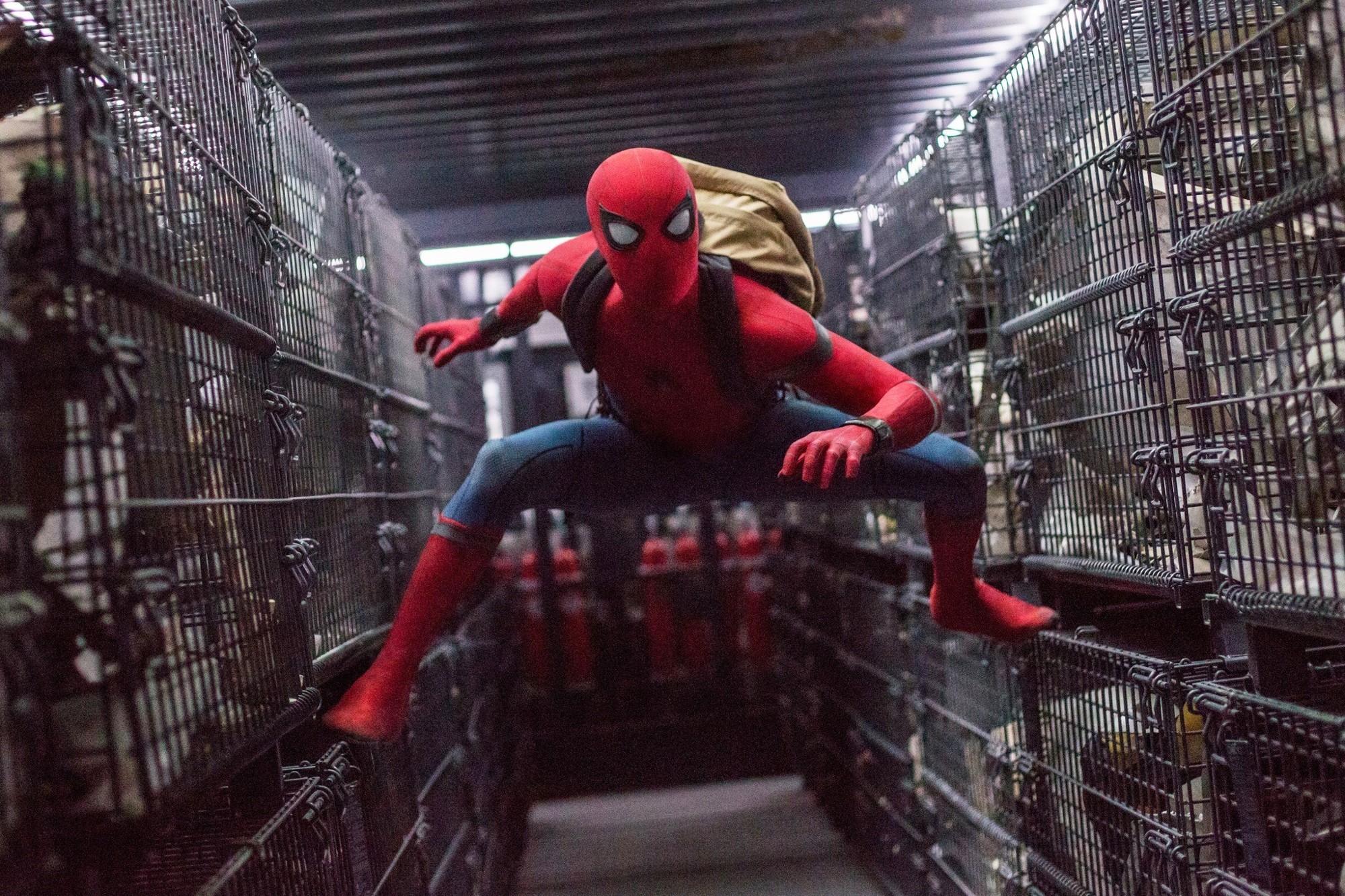 Spider-Man from Sony Pictures' Spider-Man: Homecoming (2017)