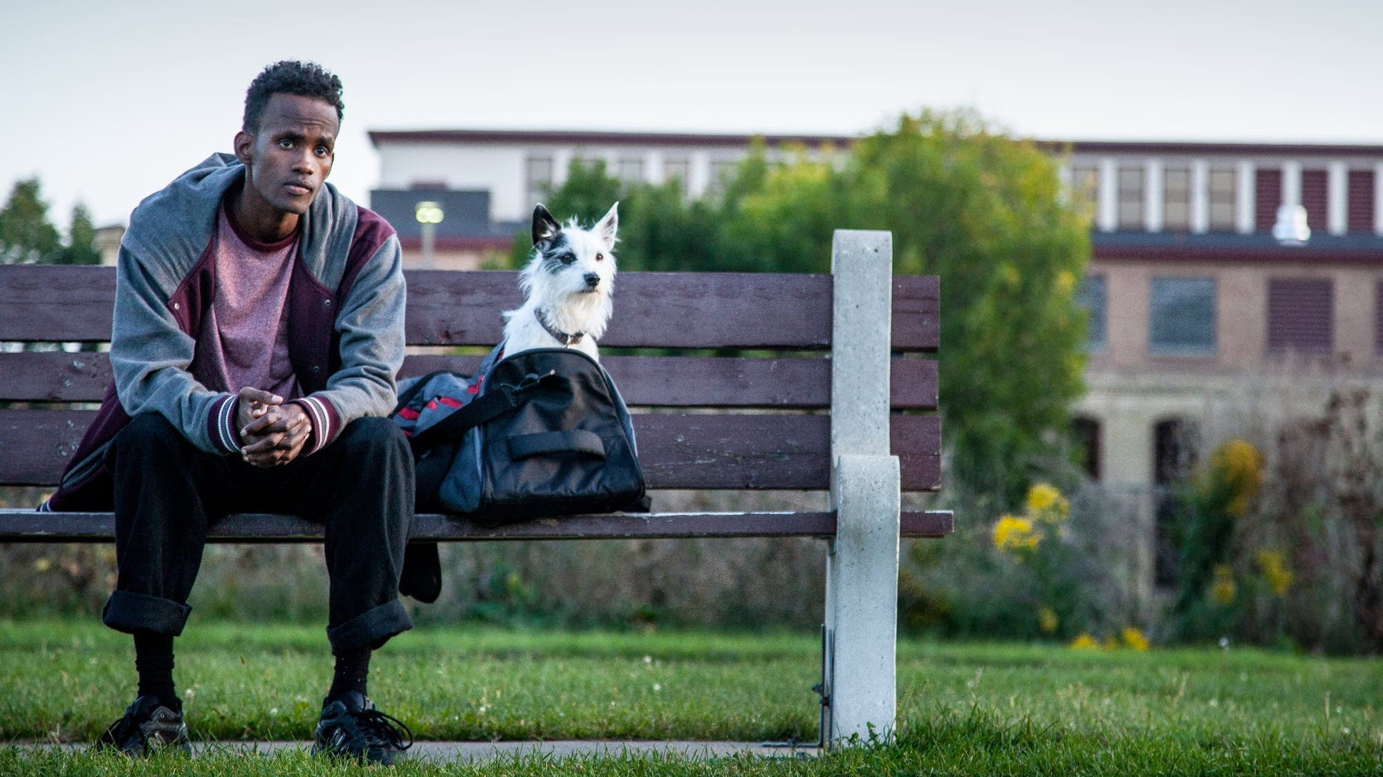 Stray, A (2016)
