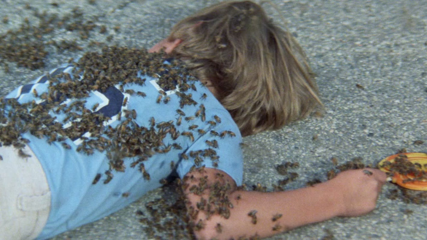 Swarm, The (1970)