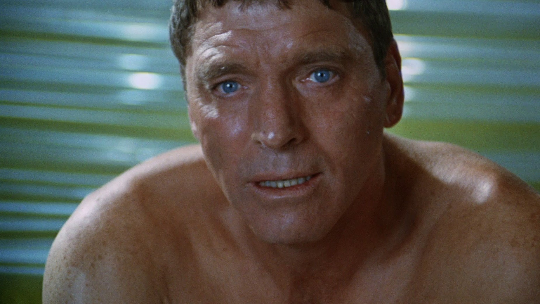 Swimmer, The (1970)