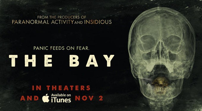 The Bay Picture 5